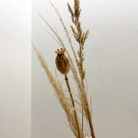 Tide Norddeich Apartamento